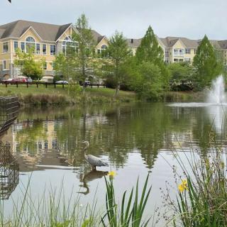 A peaceful suburban lake with a fountain, surrounded by buildings and trees.