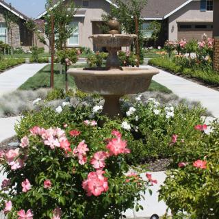 A beautifully landscaped garden with a central fountain surrounded by vibrant flowers and pathways in a residential area.
