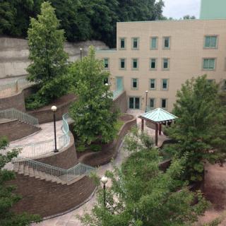 A serene urban pathway surrounded by trees and modern architecture.