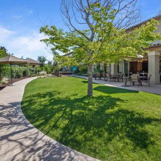 A sunny day in a landscaped garden with a winding pathway and outdoor seating area.