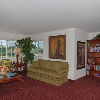 A cozy living room with a green sofa, bookshelves, and a large indoor plant near the window.