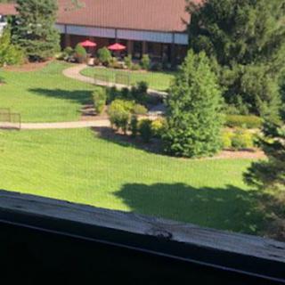 A scenic view of a garden with a winding pathway and surrounding greenery, leading to a building in the background.