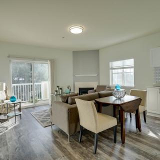A bright and modern living and dining area with contemporary furnishings and abundant natural light.
