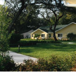 A yellow house surrounded by lush greenery and trees with a driveway leading up to it.