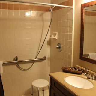 An accessible bathroom with a shower, sink, and mirror.