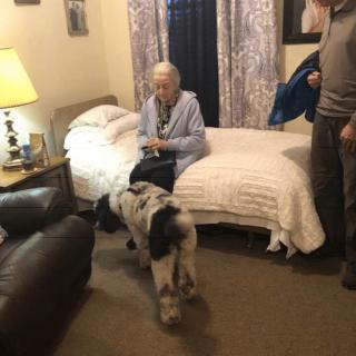 An elderly person sitting on a bed with a dog nearby in a cozy bedroom.