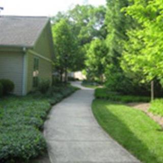 A serene pathway flanked by a house and lush greenery.