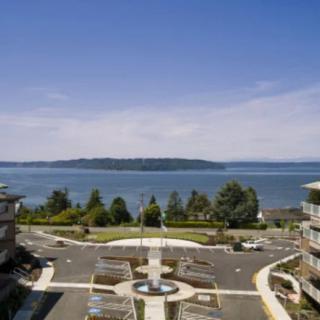 A scenic view of the sea with modern buildings and lush greenery under a clear blue sky.