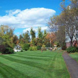 A well-maintained garden features a lush green lawn, a clear pathway, and trees under a blue sky with clouds.