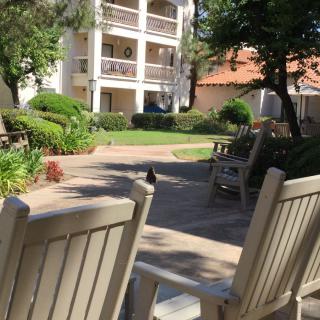 A peaceful outdoor garden with chairs and a building in the background on a sunny day.