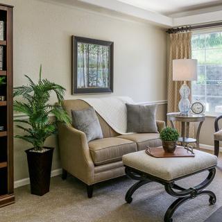 A cozy living room with elegant furnishings, featuring a sofa, a coffee table, and decorative plants.