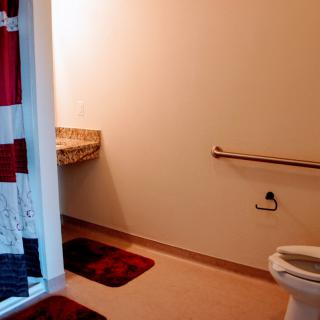 A bathroom with a toilet, sink, grab bar, and decorative bath mats.