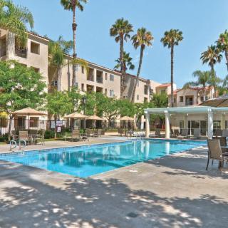 A serene outdoor swimming pool surrounded by a residential complex with tall palm trees.