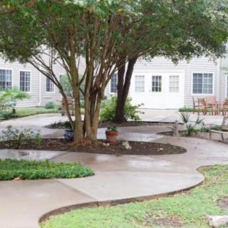 A peaceful courtyard featuring a central tree, winding pathways, and surrounding benches.