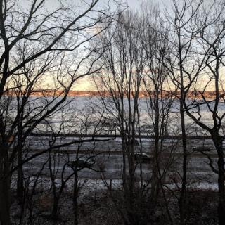 A serene view of sunset over a body of water, framed by silhouetted trees.