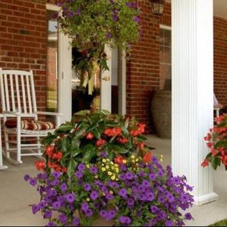 A cozy porch with vibrant flowers and a rocking chair.