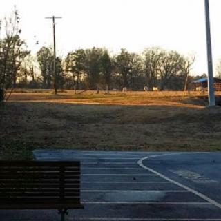 A serene view of an empty field with distant trees under a golden sunset.