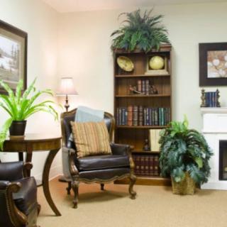 A cozy living room with elegant furniture and decorative plants.