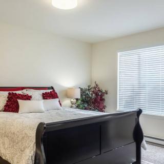 A cozy bedroom with a neatly made bed, decorative pillows, a bedside lamp, and a window with blinds.