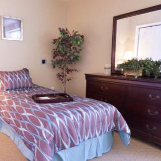 A cozy bedroom with a single bed, a dresser with a mirror, and an indoor plant.