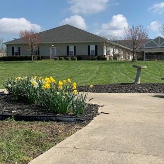 A suburban house with a neatly manicured lawn and blooming daffodils on a sunny spring day.