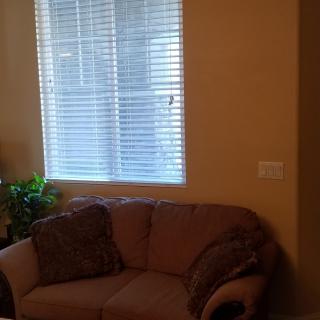 A cozy living room with a small sofa, cushions, and an indoor plant near a window with blinds.