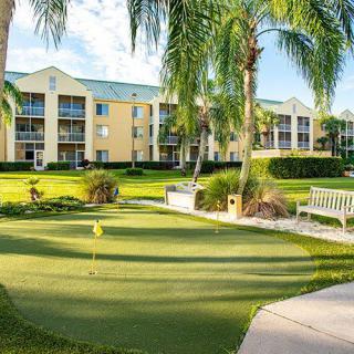 A sunny resort with a putting green, surrounded by palm trees and apartment-style buildings.