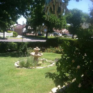 A peaceful garden with a central fountain surrounded by lush greenery.