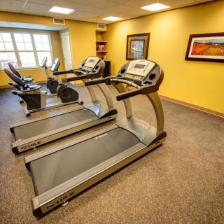 A well-equipped gym with treadmills and exercise machines.