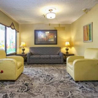 A cozy living room with yellow armchairs, a patterned sofa, and decorative lamps.