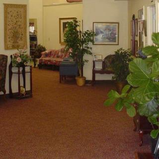 A view of a lobby with decorative plants and comfortable seating arrangements.