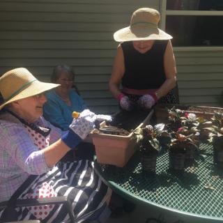 A cheerful gardening session with friends enjoying the sunshine.