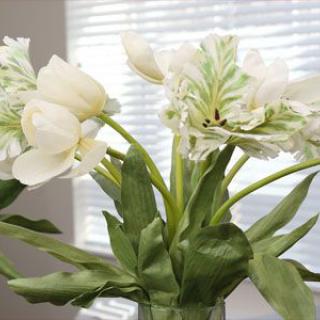 A bouquet of white tulips in soft natural light.