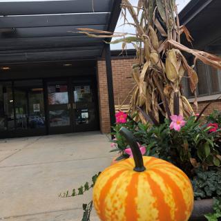 An autumn-themed entrance decorated with a pumpkin, corn stalks, and flowers.