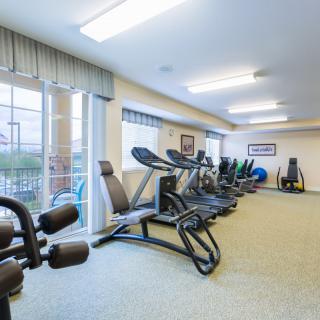 A well-equipped gym with multiple treadmills and elliptical machines lined up in a spacious, well-lit room.