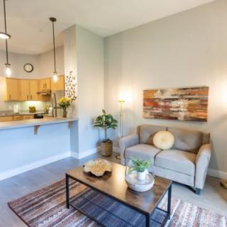 A modern living room with an open kitchen, featuring a comfortable sofa, coffee table, plants, and decorative artwork.