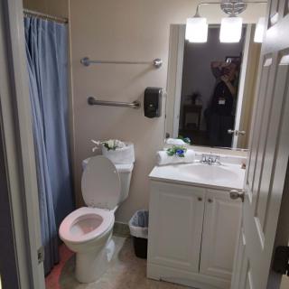 A small bathroom featuring a toilet, sink with mirror, shower curtain, and overhead lighting.
