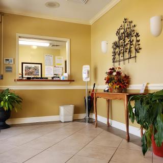 A welcoming reception area featuring a warm yellow wall color and decorative plants.