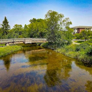 A serene landscape featuring a wooden bridge over a tranquil stream, surrounded by lush greenery and clear blue skies.