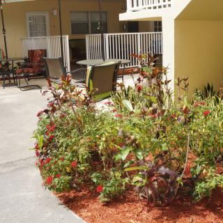 A garden with colorful flowers next to a patio area outside a building.