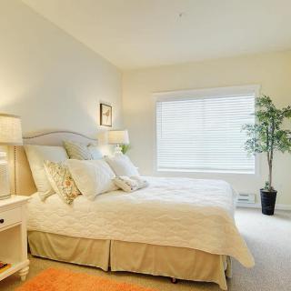 A bright and cozy bedroom with a large bed, soft lighting, and a potted plant by the window.