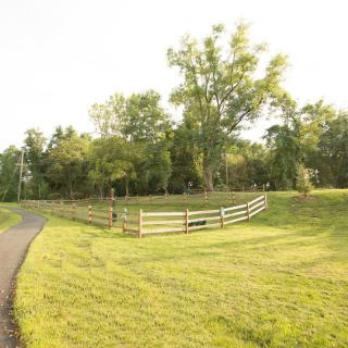A serene outdoor scene with a wooden fence, lush green grass, a pathway, and tall trees under a clear sky.