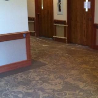 A carpeted hallway with wooden doors in a hotel interior.