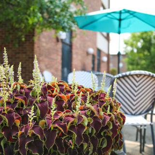 A serene outdoor space adorned with vibrant plants and inviting seating under a teal umbrella.