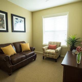 A cozy living room with a brown sofa, patterned armchair, and decorative elements.