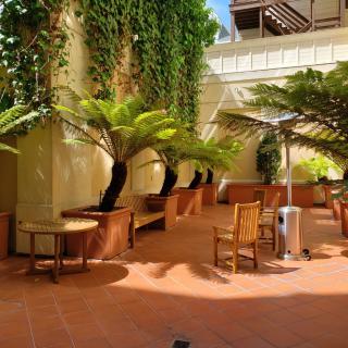 A serene outdoor patio area with tables, chairs, and lush ferns basking in sunlight.