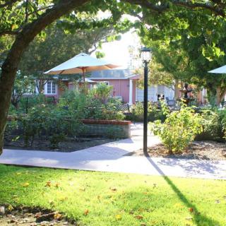 A peaceful garden with a pathway surrounded by trees and sunlight filtering through, casting shadows on the ground.