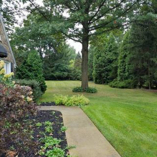 A lush garden with a well-maintained lawn and tall trees, featuring a concrete pathway.