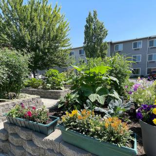 A vibrant garden with various plants and flowers in front of a residential building under a clear blue sky.