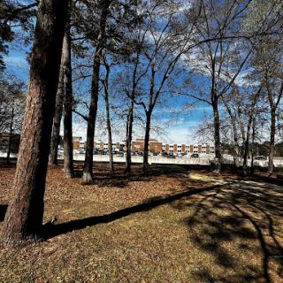 A serene view of a forested area under a clear blue sky, showcasing the interplay of light and shadows.